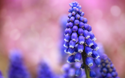788619 (a): :1920x1200